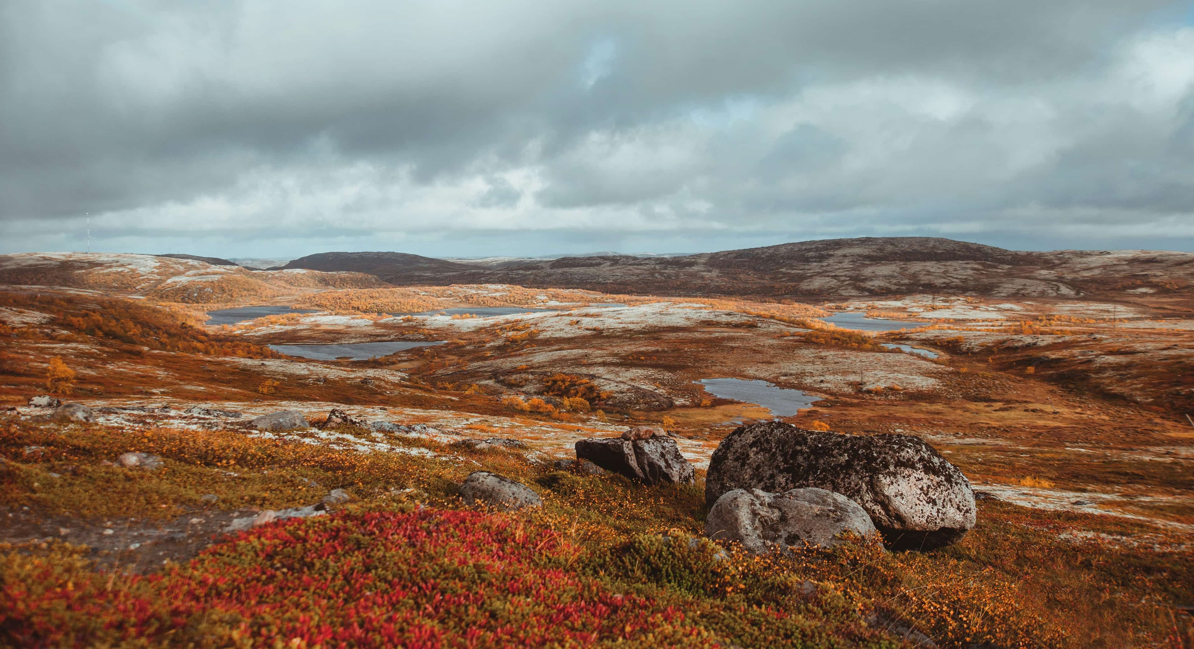 A photo of tundra terrain