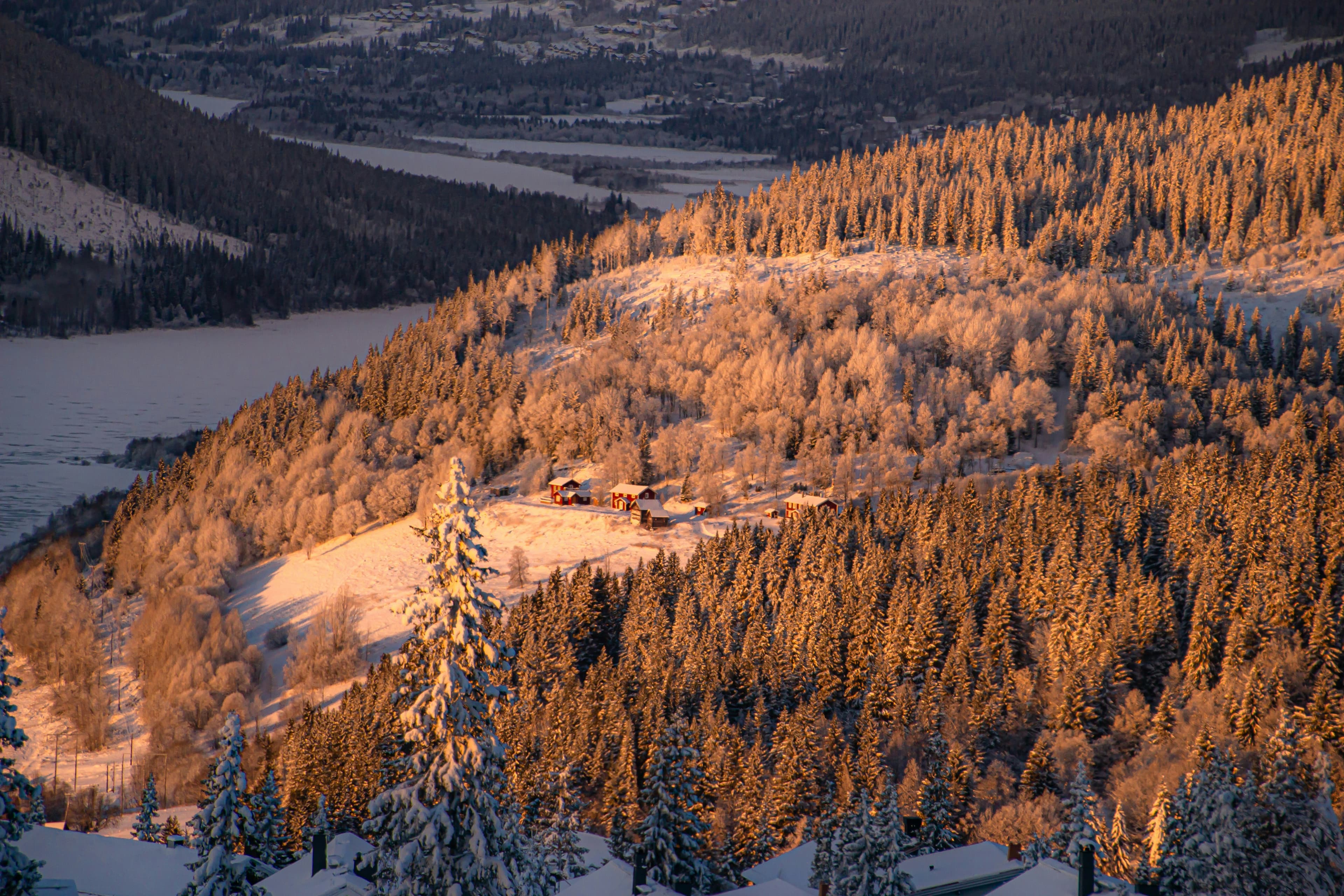 Golden winter sunlight on a snowy hillside, pine trees, a frozen lake, and a few red cabins