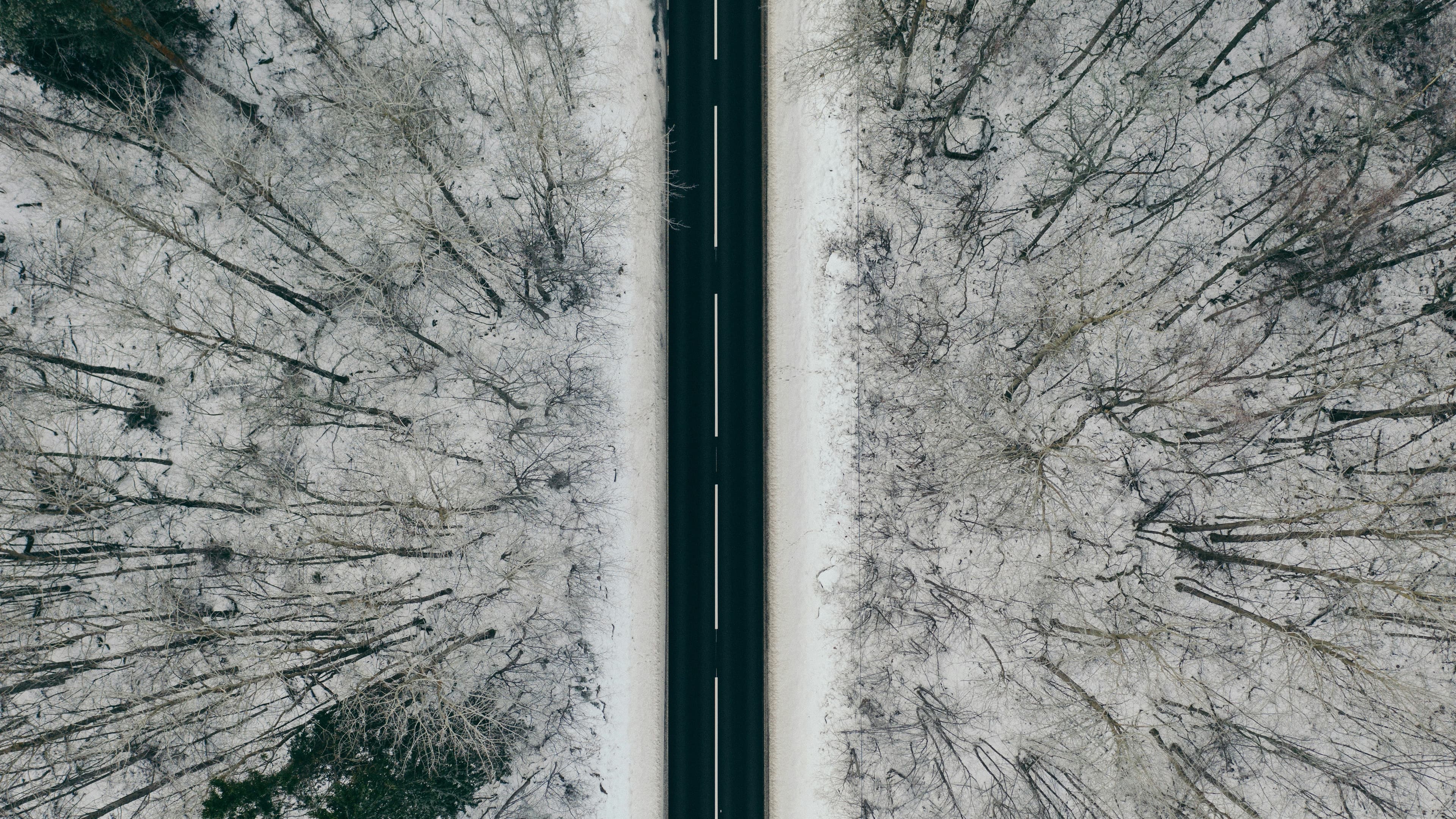 Straight road cutting through a snowy forest, shot from above
